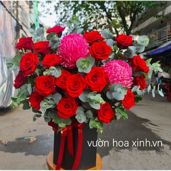 Xinh xắn - HHG1034