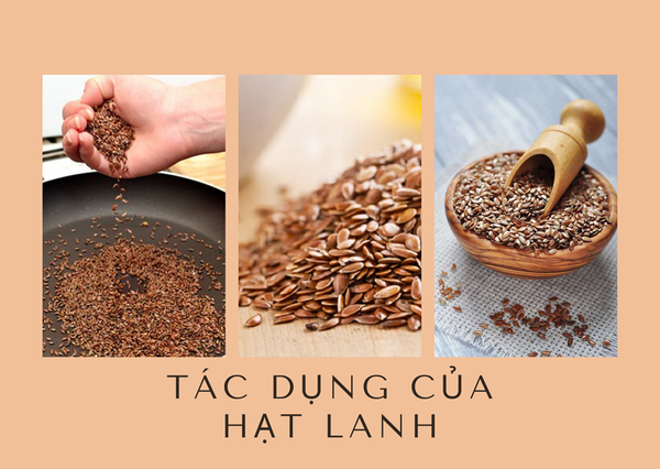 Công dụng của hạt lanh với sức khỏe con người như thế nào?