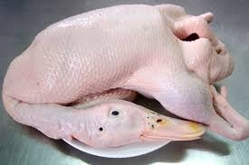 Những cách chế biến thịt ngan hấp dẫn thử một lần là mê ngay