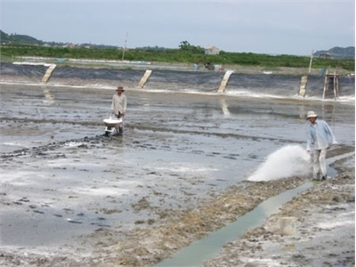 Vôi Thủy sản