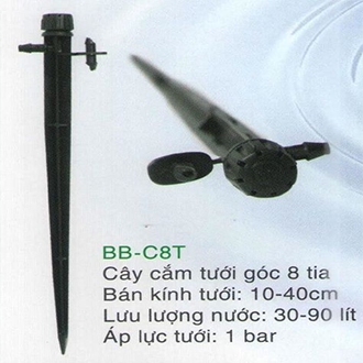 Cây cắm tưới gốc 8 tia