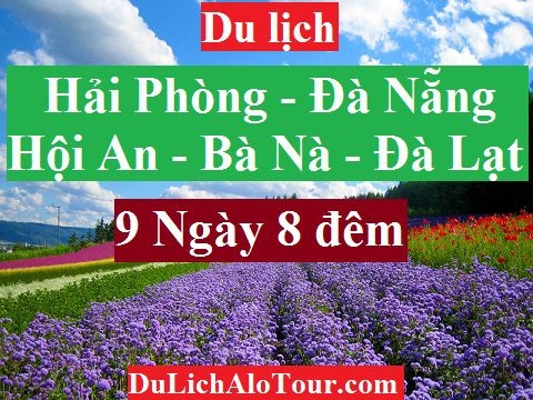 chương trình Tour du lịch Hải Phòng Đà Nẵng (9 ngày 8 đêm)