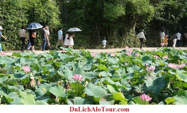 Tour du lịch Hải Phòng Đà Nẵng (4 ngày 3 đêm)