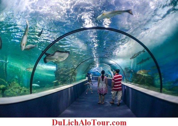 Tour Hải Phòng Phú Quốc giá rẻ