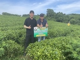 Kiểm nghiệm phân bón GOLDTECH trên chè tại xã La Bằng - Đại Từ - Thái Nguyên