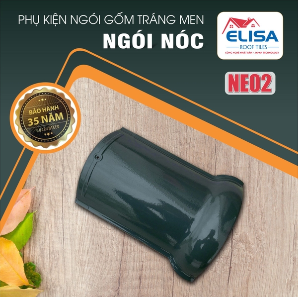 NE02 - Nóc Xanh Rêu