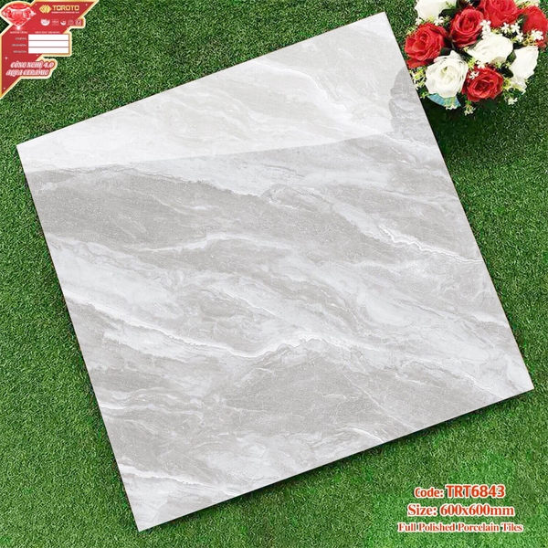 Gạch lát nền 60x60: TRT6843