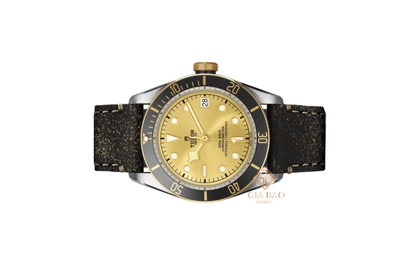 Đồng Hồ Tudor Heritage Black Bay 41 79733N-0003