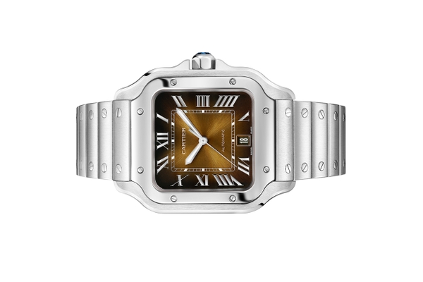 Đồng Hồ Cartier Santos De Cartier WSSA0064