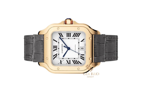 Đồng Hồ Cartier Santos de Cartier WGSA0019