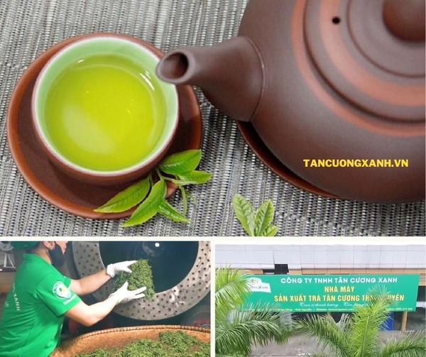 tancuongxanh.com