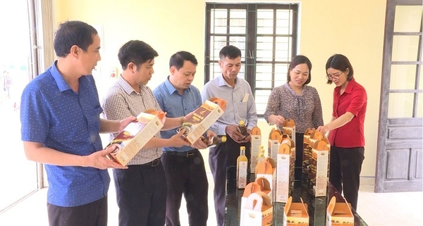 Khoa học công nghệ: động lực thúc đẩy sản xuất nông nghiệp tại Thái Bình