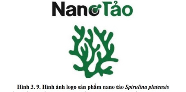 Hỗ trợ thương mại hóa quy trình công nghệ sản xuất nano tảo Spirulina platensis