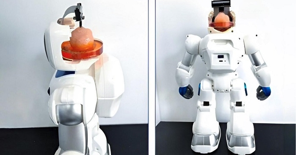 Các nhà khoa học Trung Quốc tạo ra robot với bộ não từ tế bào gốc của con người