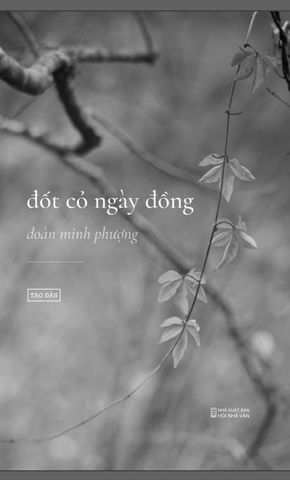 Đốt cỏ ngày đồng- Đoàn Minh Phượng