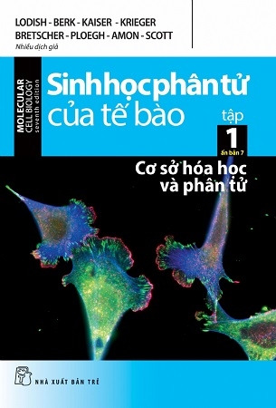 Sinh Học Phân Tử của Tế Bào Tập 1: Cơ Sở Hóa Học Và Phân Tử (Ấn bản 7) - Nhiều tác giả