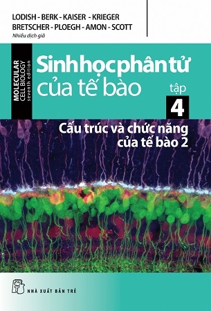 Sinh Học Phân Tử của Tế Bào Tập 4: Cấu Trúc Và Chức Năng Của Tế Bào 2 - Nhiều tác giả