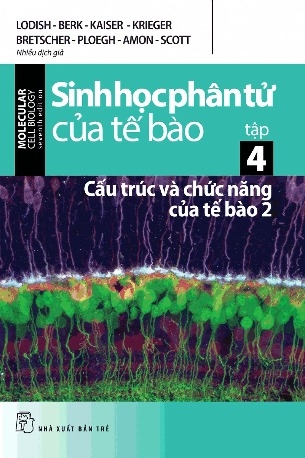 Sinh Học Phân Tử Của Tế Bào - Tập 4 : Cấu Trúc Và Chức Năng Của Tế Bào 2 - Nhiều Tác Giả