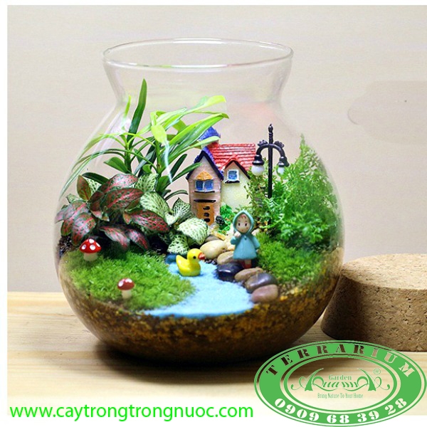 Terrarium AquaGarden - Ngôi nhà nhỏ, Hạnh phúc to