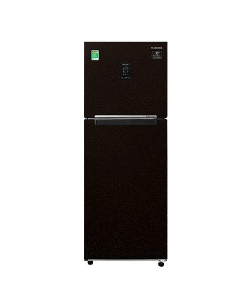 Tủ lạnh Samsung Inverter 300 lít RT29K5532BY/SV