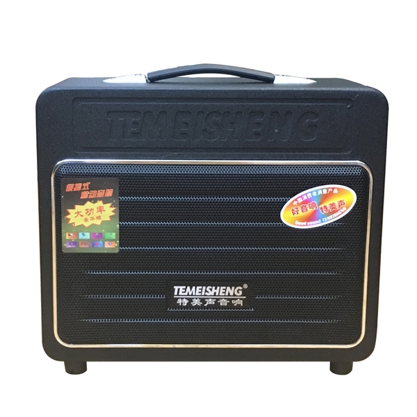 Loa Kéo Temeisheng GD 06-09