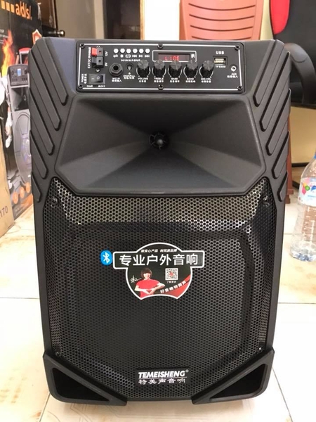 Loa Kéo Temeisheng A12-8