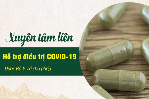 xuyên tâm liên dạng viên