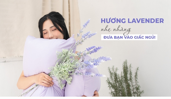 Ruột gối Lavender (New)