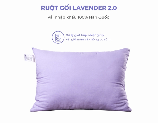 Ruột gối Lavender (New)