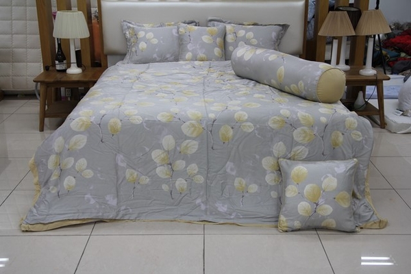 Bộ chăn ga gối Everon Es1809