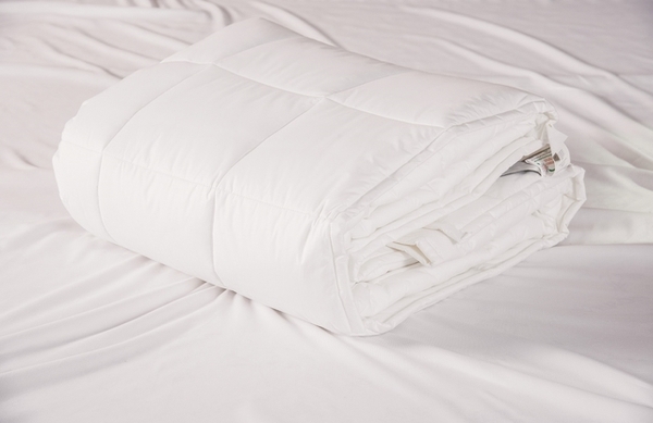 Ruột chăn Everon Micro