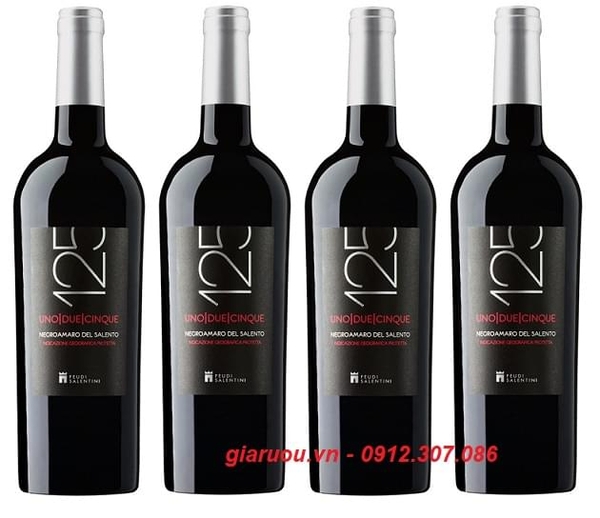 TỔNG ĐẠI LÝ VANG Ý 125 NEGROAMARO DEL SALENTO TẠI HÀ NỘI