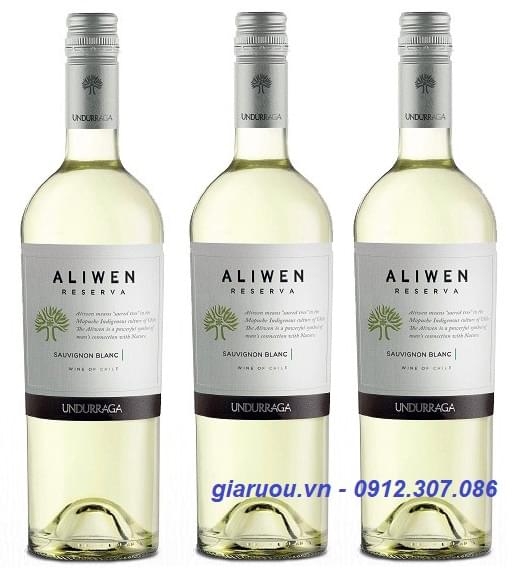 BÁN BUÔN VANG CHILE UNDURRAGA ALIWEN RESERVA SAUVIGNON BLANC