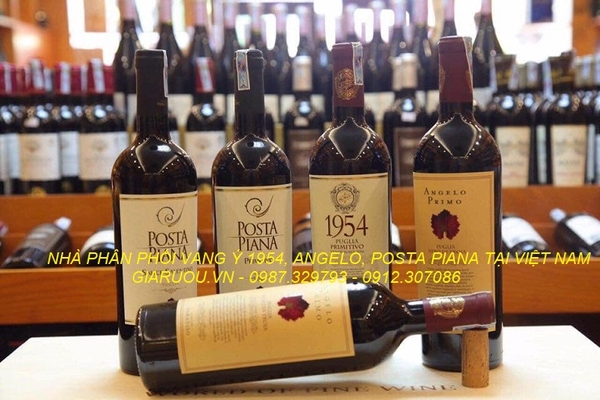 BÁN BUÔN VANG Ý 1954, ANGELO PRIMO, POSTA PIANA GIÁ CỰC RẺ
