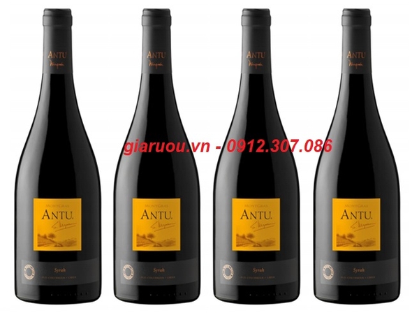 VANG CHILE MONTGRAS ANTU SYRAH GIÁ ƯU ĐÃI NHẤT