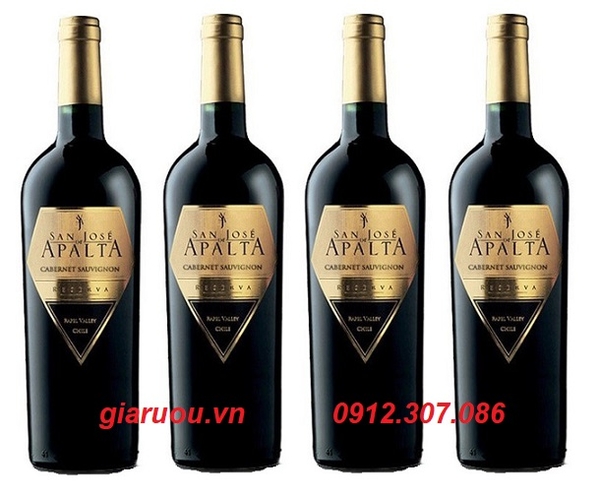 ĐẠI LÝ VANG CHILE SAN JOSE DE APALTA RESERVA CABERNET SAUVIGNON