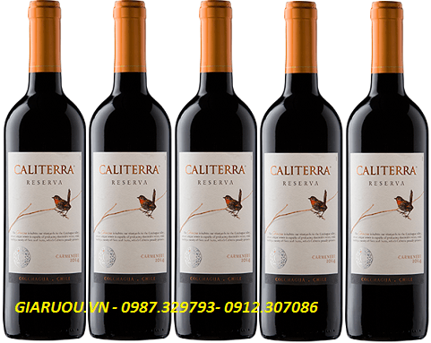 PHÂN PHỐI VANG CHILE CALITERRA RESERVA CARMENERE GIÁ RẺ NHẤT