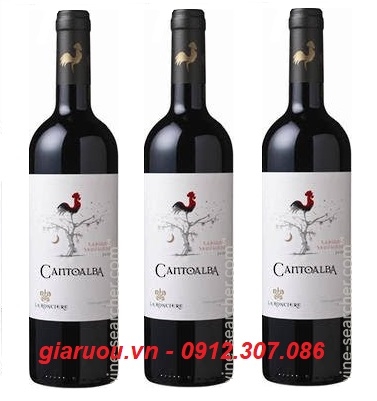 GIÁ VANG CHILE CANTOALBA CABERNET SAUVIGNON RẺ NHẤT THỊ TRƯỜNG
