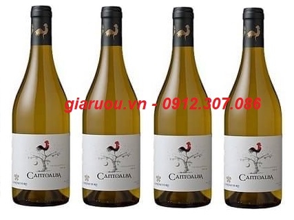 CHUYÊN CUNG CẤP VANG CHILE CANTOABA CHARDONNAY GIÁ TỐT NHẤT