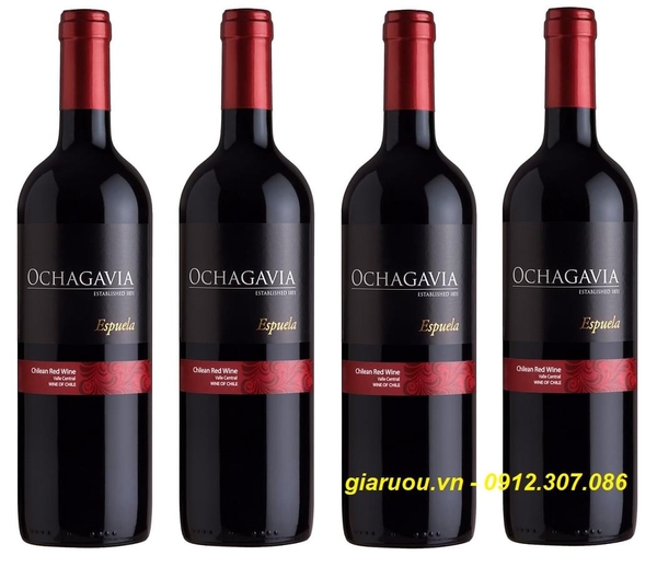 PHÂN PHỐI VANG CHILE GIÁ TỐT - OCHAGAVIA ESPUELA RED WINE