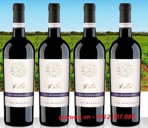 BÁN BUÔN VANG Ý FALÒ NEGROAMARO TẠI HÀ NỘI