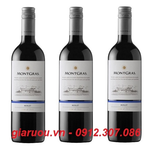 VANG CHILE MONTGRAS MERLOT GIÁ TỐT NHẤT THỊ TRƯỜNG