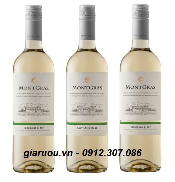 BÁN BUÔN VANG CHILE MONTGRAS SAUVIGNON BLANC