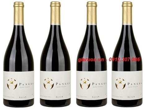 TỔNG ĐẠI LÝ VANG CHILE PANGEA SYRAH TẠI HÀ NỘI