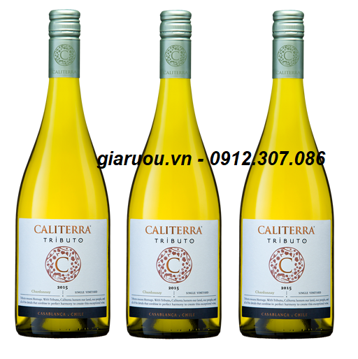 BÁN BUÔN VANG CHILE CALITERRA TRIBUTO CHARDONNAY GIÁ RẺ NHẤT