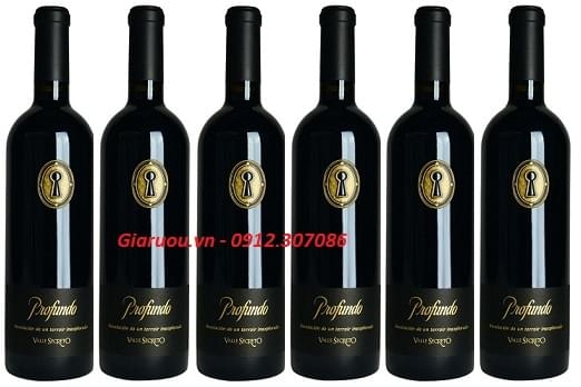 PHÂN PHỐI VANG CHILE VALLE SECRETO PROFUNDO GIÁ RẺ NHẤT