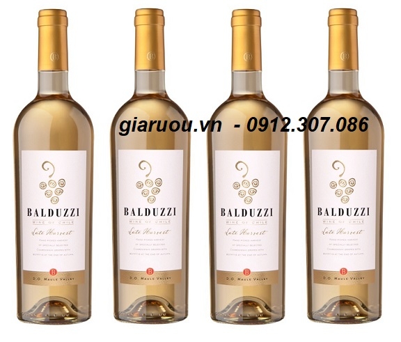 TỔNG ĐẠI LÝ VANG NGỌT CHILE BALDUZZI LATE HARVEST