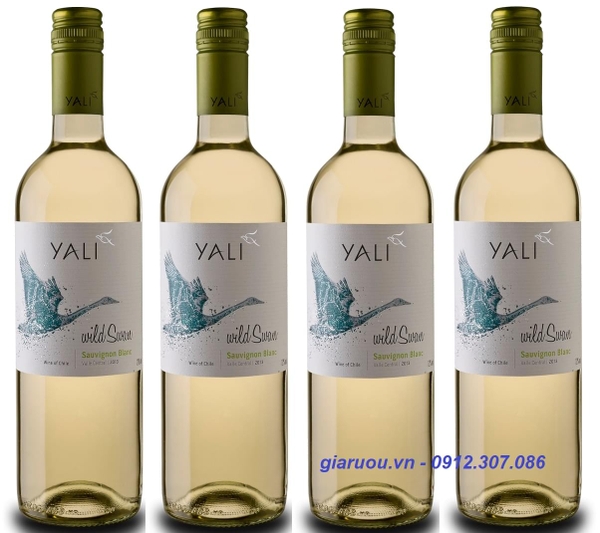 PHÂN PHỐI VANG CHILE YALI WILD SWAN SAUVIGNON BLANC