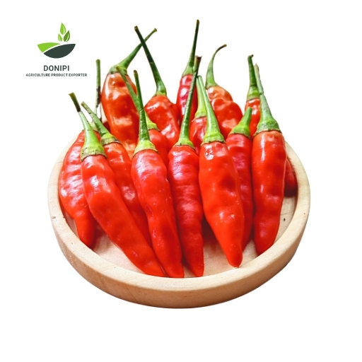 are chili peppers good for you? AGRICULTURE PRODUCT EXPORTER