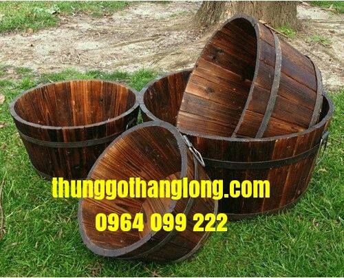 chậu gỗ trồng cây cảnh đẹp